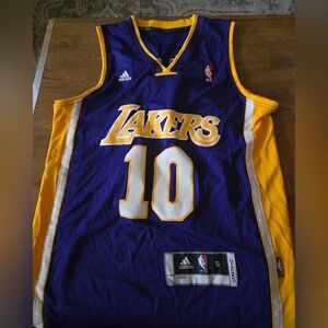 Lakers Steve Nash Jersey 10 Adidas